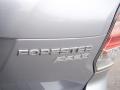 Ice Silver Metallic - Forester 2.5i Premium Photo No. 9
