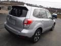 Ice Silver Metallic - Forester 2.5i Premium Photo No. 10