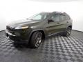 2016 ECO Green Pearl Jeep Cherokee Latitude 4x4  photo #7