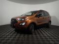 Canyon Ridge Metallic - EcoSport SES 4WD Photo No. 11