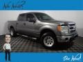 2013 Sterling Gray Metallic Ford F150 XLT SuperCrew 4x4 #143364443