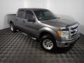 2013 Sterling Gray Metallic Ford F150 XLT SuperCrew 4x4  photo #2