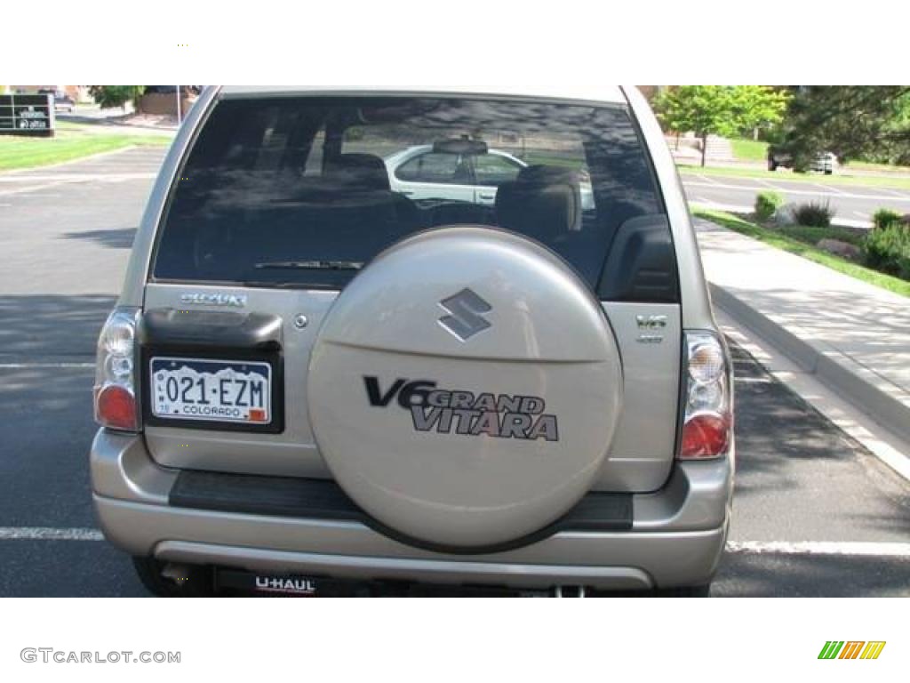 2004 Grand Vitara EX 4WD - Cool Beige Metallic / Beige photo #4