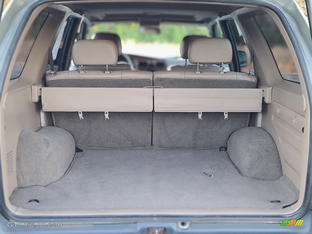 1999 4Runner Limited 4x4 - Millennium Silver Metallic / Oak photo #14