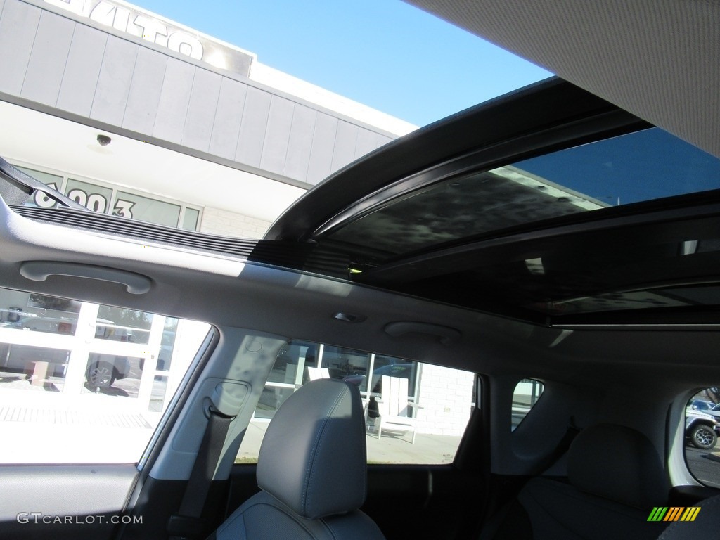2019 Soul + - Clear White / Gray Two-Tone photo #11