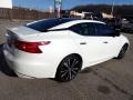 Pearl White - Maxima Platinum Photo No. 6