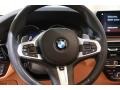2019 BMW 5 Series Cognac Interior Steering Wheel Photo