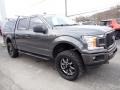 Magnetic - F150 STX SuperCrew 4x4 Photo No. 8