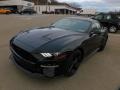 Shadow Black - Mustang GT Fastback Photo No. 7