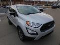 Moondust Silver Metallic - EcoSport S Photo No. 8