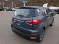 Smoke Metallic - EcoSport S Photo No. 2