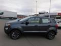 Smoke Metallic - EcoSport S Photo No. 5