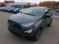Smoke Metallic - EcoSport S Photo No. 6