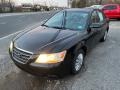 2010 Ebony Black Hyundai Sonata GLS  photo #13