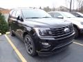 2021 Agate Black Ford Expedition Limited Stealth Package 4x4  photo #4