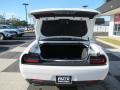 White Knuckle - Challenger SXT Photo No. 5