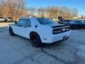 White Knuckle - Challenger T/A Photo No. 9