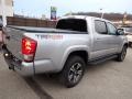 Silver Sky Metallic - Tacoma SR5 Double Cab 4x4 Photo No. 6