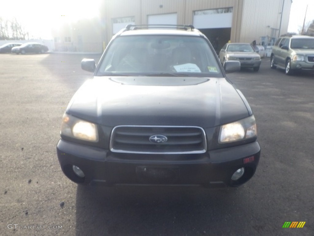 2004 Forester 2.5 XS - Java Black Pearl / Gray photo #2