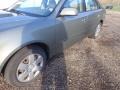 Natural Khaki Green - Sonata GLS Photo No. 8