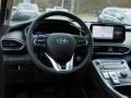 Black Steering Wheel Photo for 2022 Hyundai Santa Fe Hybrid #143451606