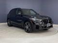 2019 Jet Black BMW X5 xDrive50i  photo #38