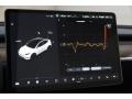 Black Controls Photo for 2021 Tesla Model Y #143453580