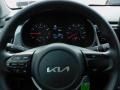  2022 Rio LX Steering Wheel