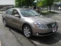 Spirited Bronze Pearl - Maxima 3.5 SL Photo No. 5