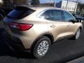 Desert Gold Metallic - Escape SE 4WD Photo No. 6