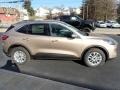 Desert Gold Metallic - Escape SE 4WD Photo No. 7