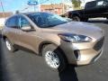 Desert Gold Metallic - Escape SE 4WD Photo No. 8