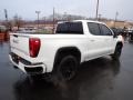 Summit White - Sierra 1500 Elevation Crew Cab 4WD Photo No. 8