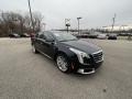 Phantom Gray Metallic - XTS Luxury Photo No. 5