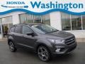 Magnetic 2019 Ford Escape SEL 4WD