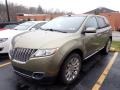 Ginger Ale 2013 Lincoln MKX AWD