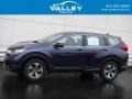Obsidian Blue Pearl - CR-V LX AWD Photo No. 2