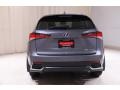 Nebula Gray Pearl - NX 300h AWD Photo No. 19