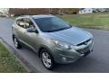2016 Coliseum Grey Hyundai Tucson SE  photo #12