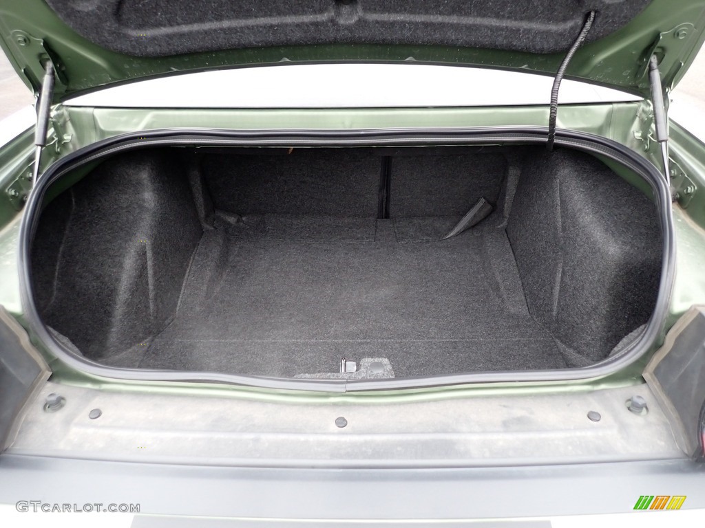 2019 Dodge Challenger R/T Scat Pack Stars and Stripes Edition Trunk Photos