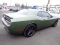 F8 Green - Challenger R/T Scat Pack Stars and Stripes Edition Photo No. 6