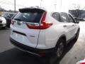 Platinum White Pearl - CR-V LX AWD Photo No. 5