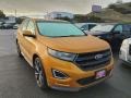 2016 Electric Spice Ford Edge Sport AWD #143518112