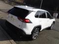 Super White - RAV4 XLE AWD Photo No. 18