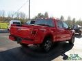 Race Red - F150 STX SuperCrew 4x4 Photo No. 5