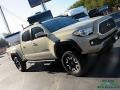 Cement Gray - Tacoma TRD Off-Road Double Cab 4x4 Photo No. 26