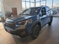 Geyser Blue 2022 Subaru Forester Wilderness Exterior