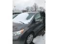 Predawn Gray Mica 2014 Toyota Sienna XLE