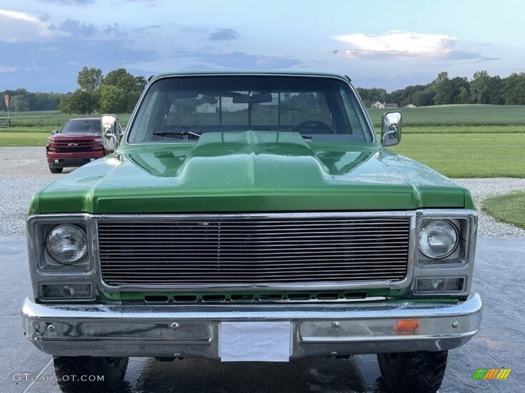 1979 C/K C10 Silverado Regular Cab - Shamrock Green Metallic / Gray photo #6
