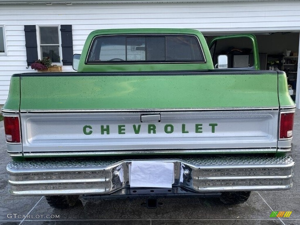 1979 C/K C10 Silverado Regular Cab - Shamrock Green Metallic / Gray photo #7
